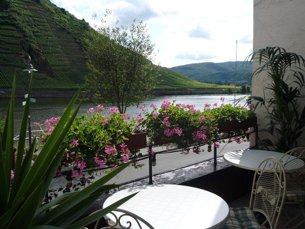 Mosel-Landhaus Am Moselufer B&B Briedern Ngoại thất bức ảnh